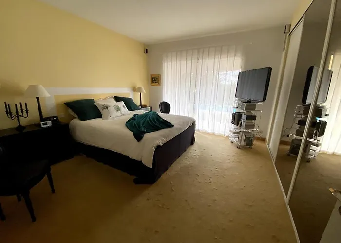 Frgk Claude Juan-les-pins Luxury With Pool & Ultra-fast Wi-fi *