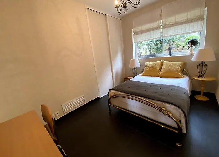 Frgk Claude Juan-les-pins Luxury With Pool & Ultra-fast Wi-fi Villa